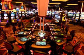cricket casino